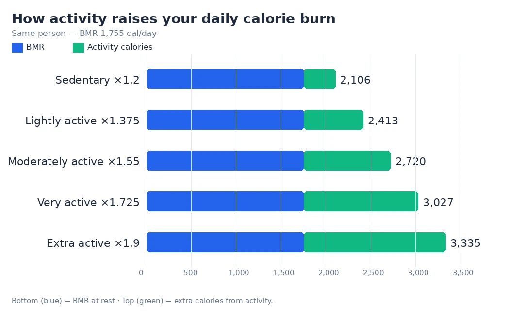 Stacked bar chart showing how activity raises daily burn for a person with a 1,755-calorie BMR: blue base bar is BMR, the green segment is extra calories from activity; totals rise from 2,106 (sedentary ×1.2) to 2,413 (lightly active ×1.375), 2,720 (moderately active ×1.55), 3,027 (very active ×1.725) and 3,335 (extra active ×1.9)