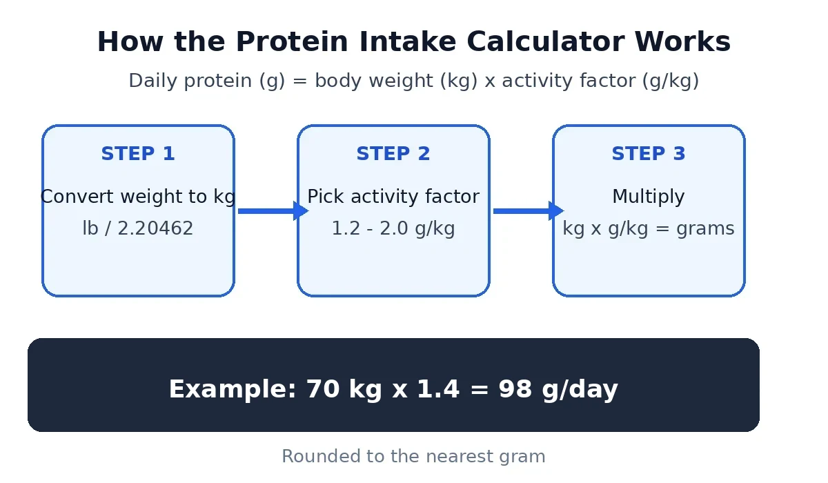 Diagram of the protein intake formula: convert weight to kilograms, pick an activity factor from 1.2 to 2.0 g/kg, then multiply; worked example 70 kg x 1.4 = 98 g per day