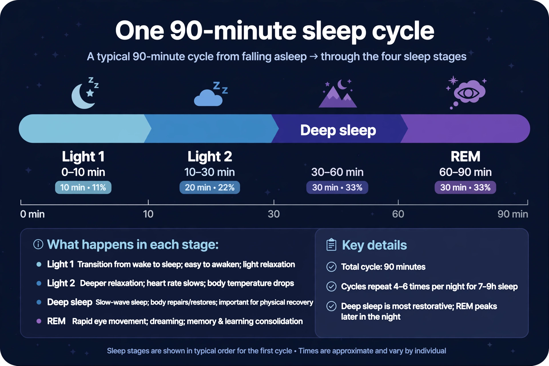 Diagram of one 90-minute sleep cycle timeline divided into light sleep, deep sleep and REM stages with minute ranges
