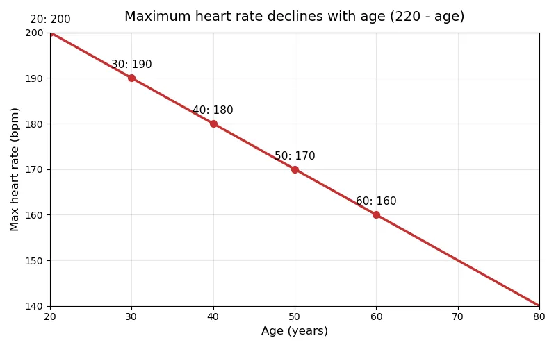 Line chart showing estimated maximum heart rate falling with age: 200 at 20, 190 at 30, 180 at 40, 170 at 50 and 160 at 60