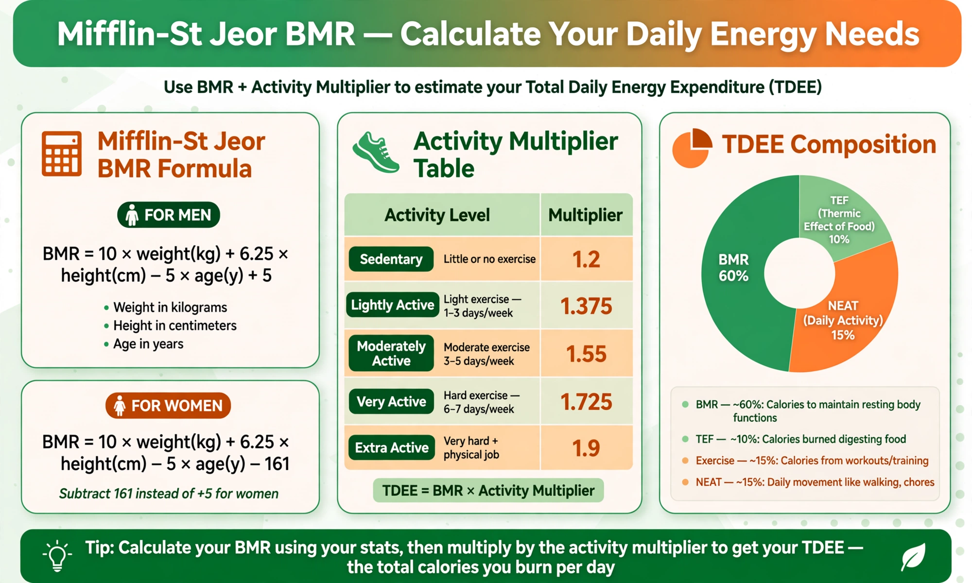 Fitness infographic with the Mifflin-St Jeor BMR formula, an activity multiplier table from 1.2 to 1.9, and a donut chart splitting TDEE into BMR, digestion, exercise and daily activity