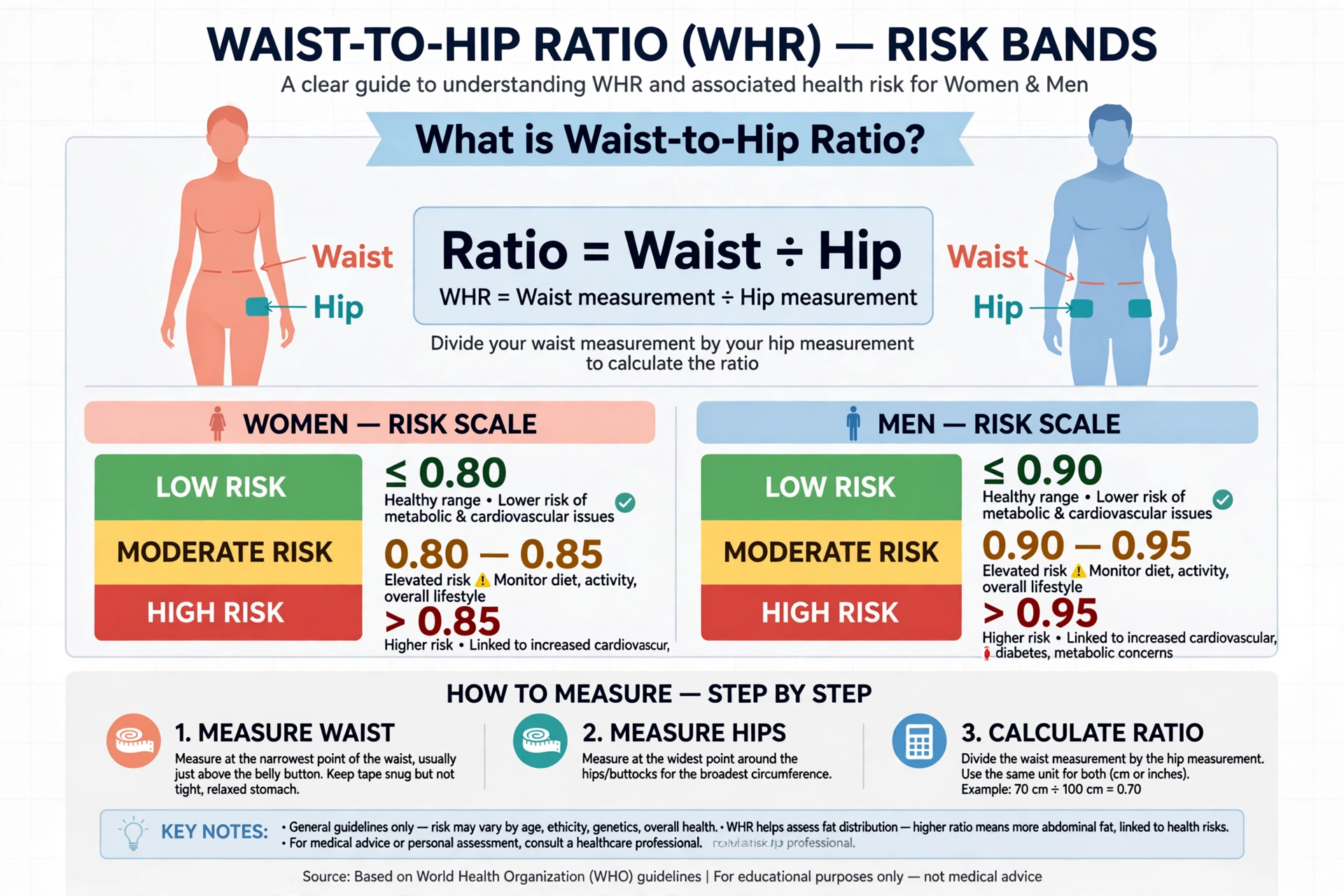 Waist-to-hip ratio risk band chart for women and men showing low, moderate and high bands