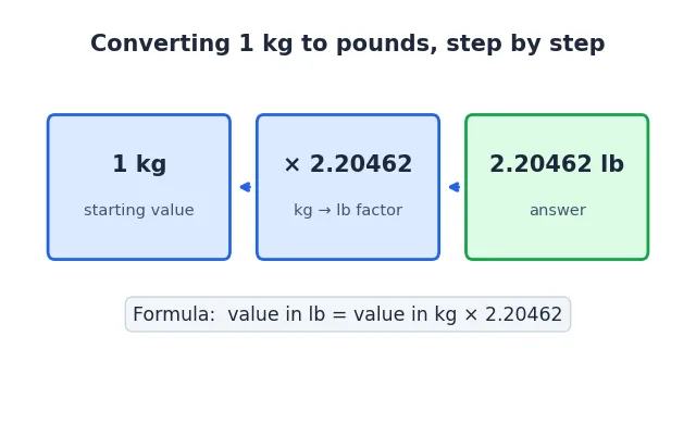 Three-step diagram converting 1 kg to pounds: 1 kg times the factor 2.20462 equals 2.20462 lb